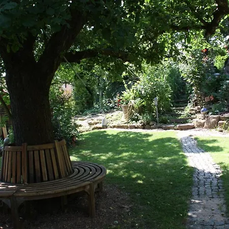 Gartenreich Appartement *